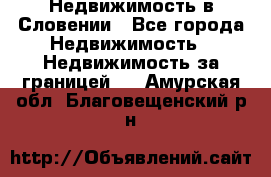 Недвижимость в Словении - Все города Недвижимость » Недвижимость за границей   . Амурская обл.,Благовещенский р-н